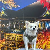 画像29202