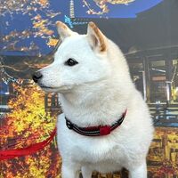画像29302