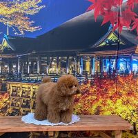 画像29326