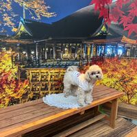 画像29432