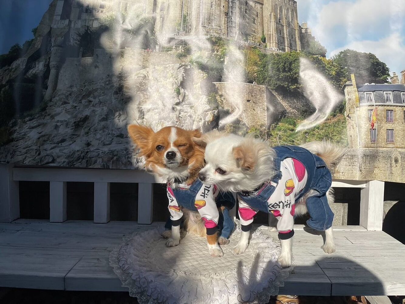 画像29476