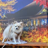 画像29555