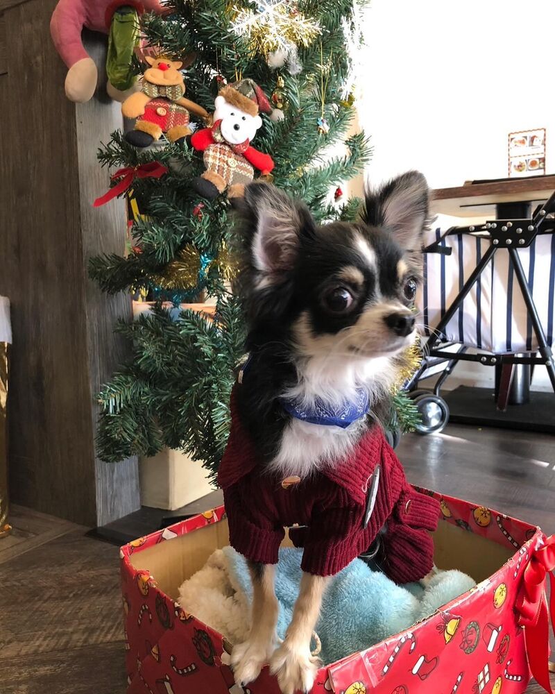 画像29630