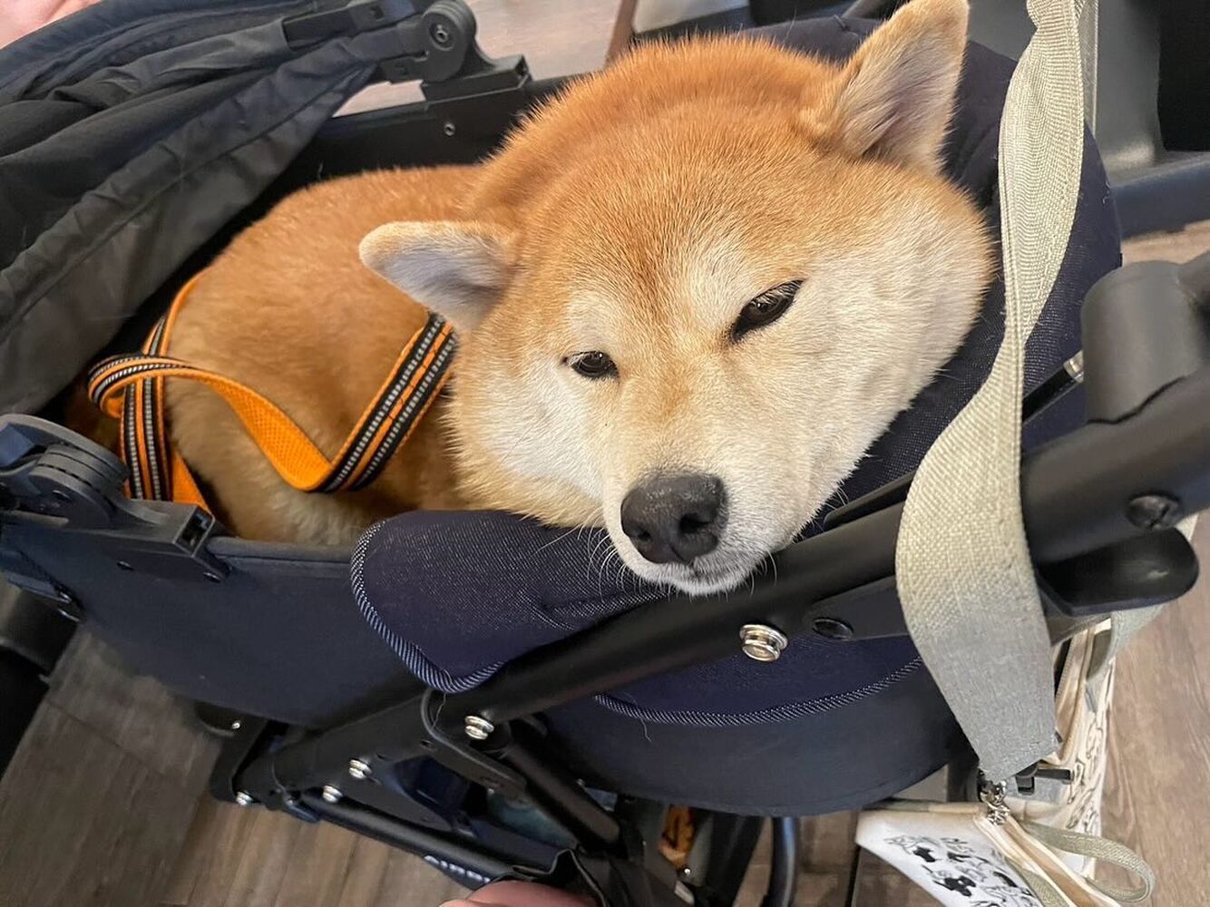 画像29903