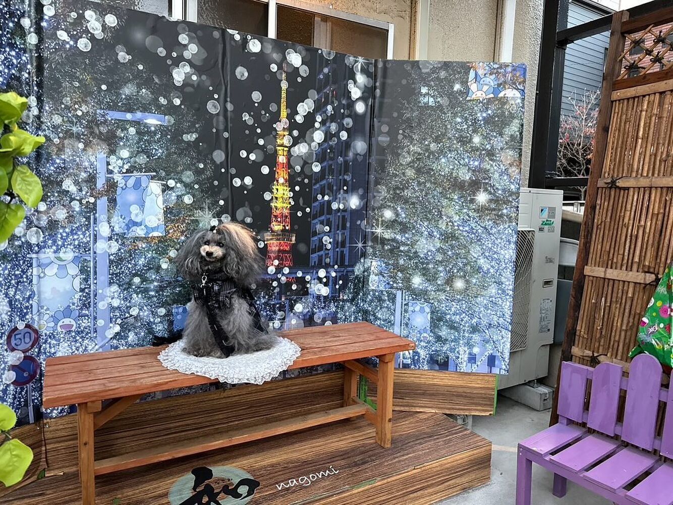 画像29949