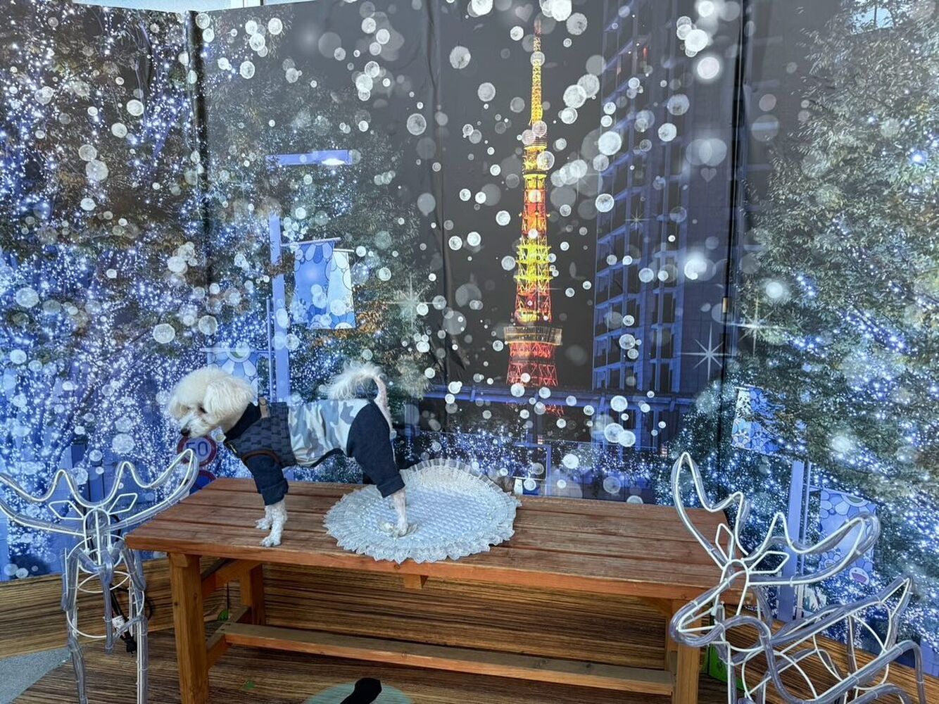 画像30000