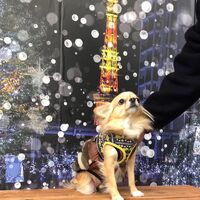 画像30036