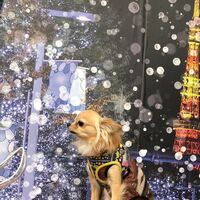 画像30037