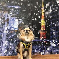 画像30039