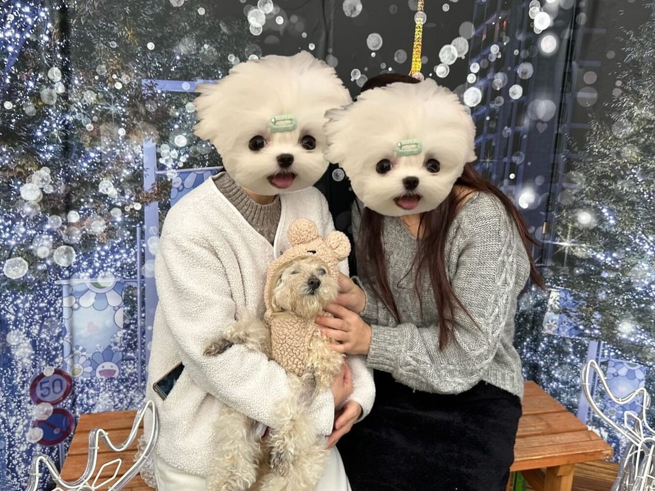 画像30047