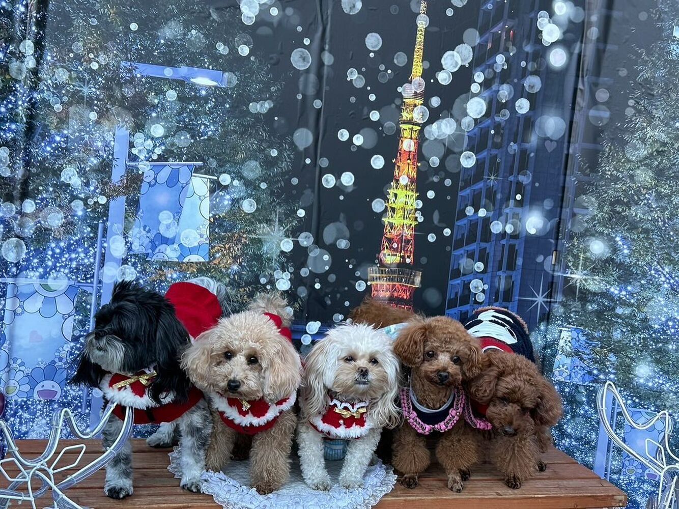 画像30128