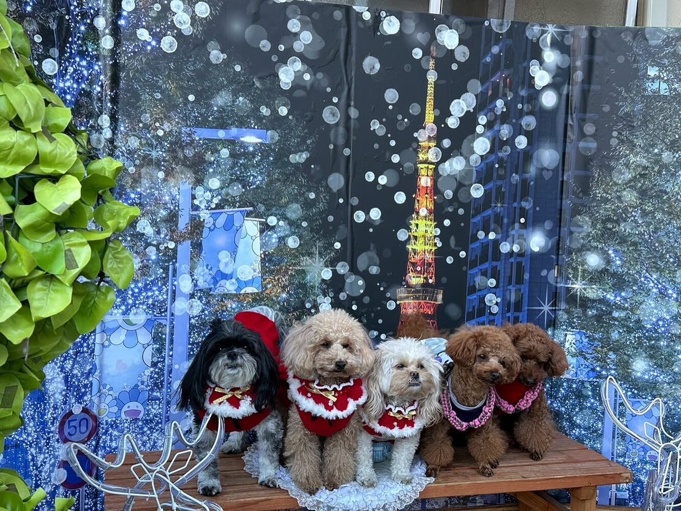 画像30129