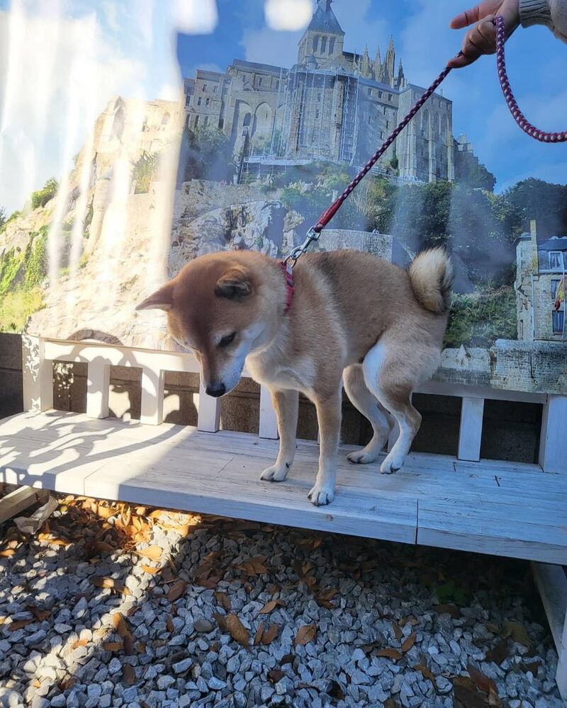 画像30135