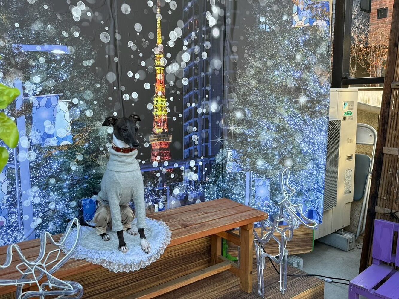 画像30337