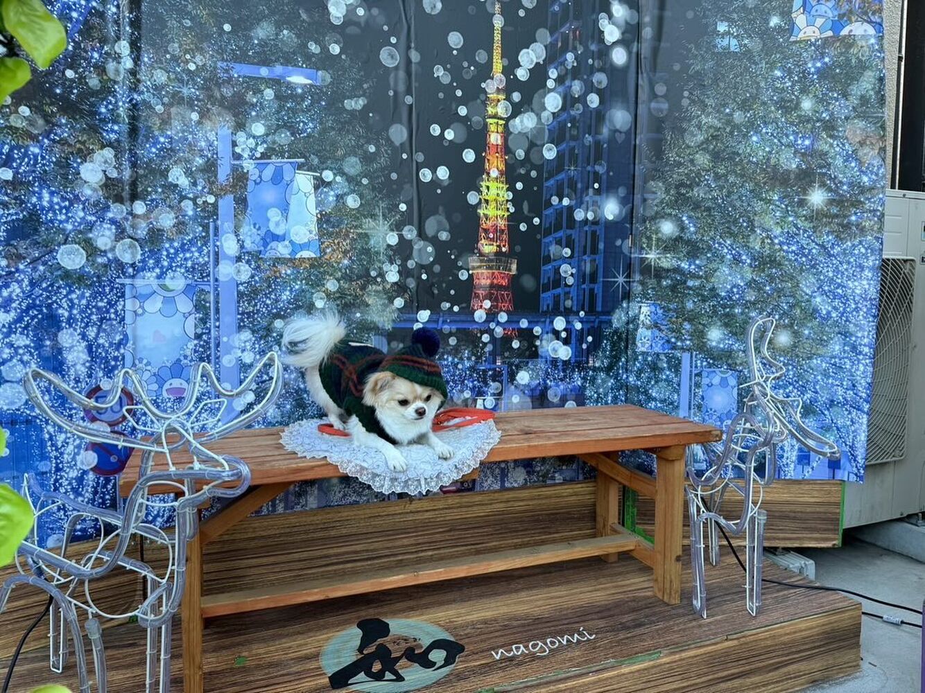 画像30345
