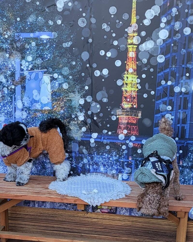 画像30413