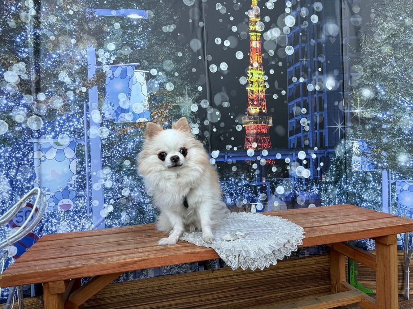 画像30478