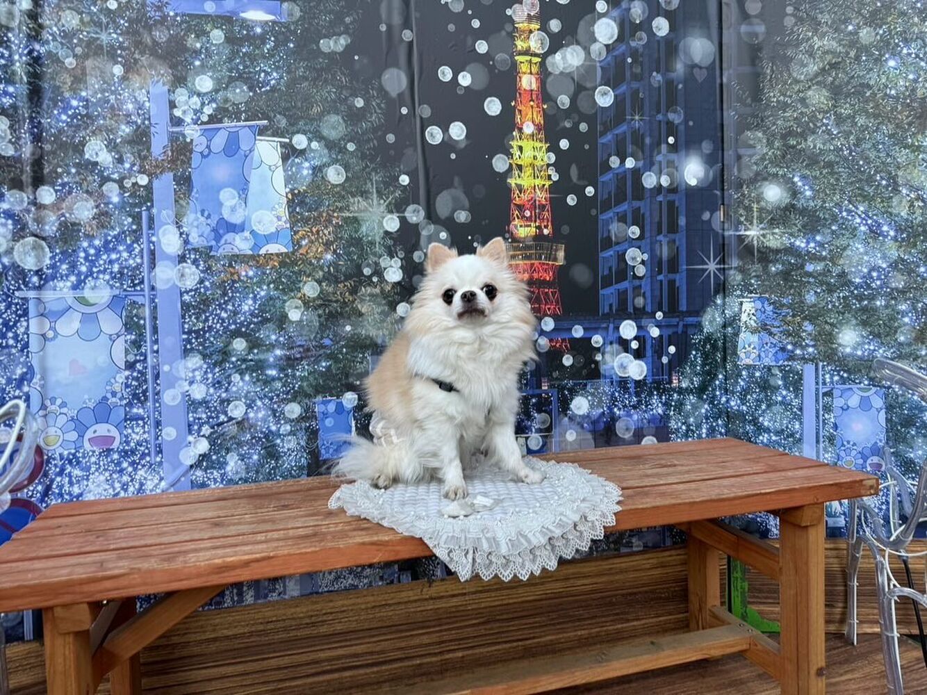 画像30479