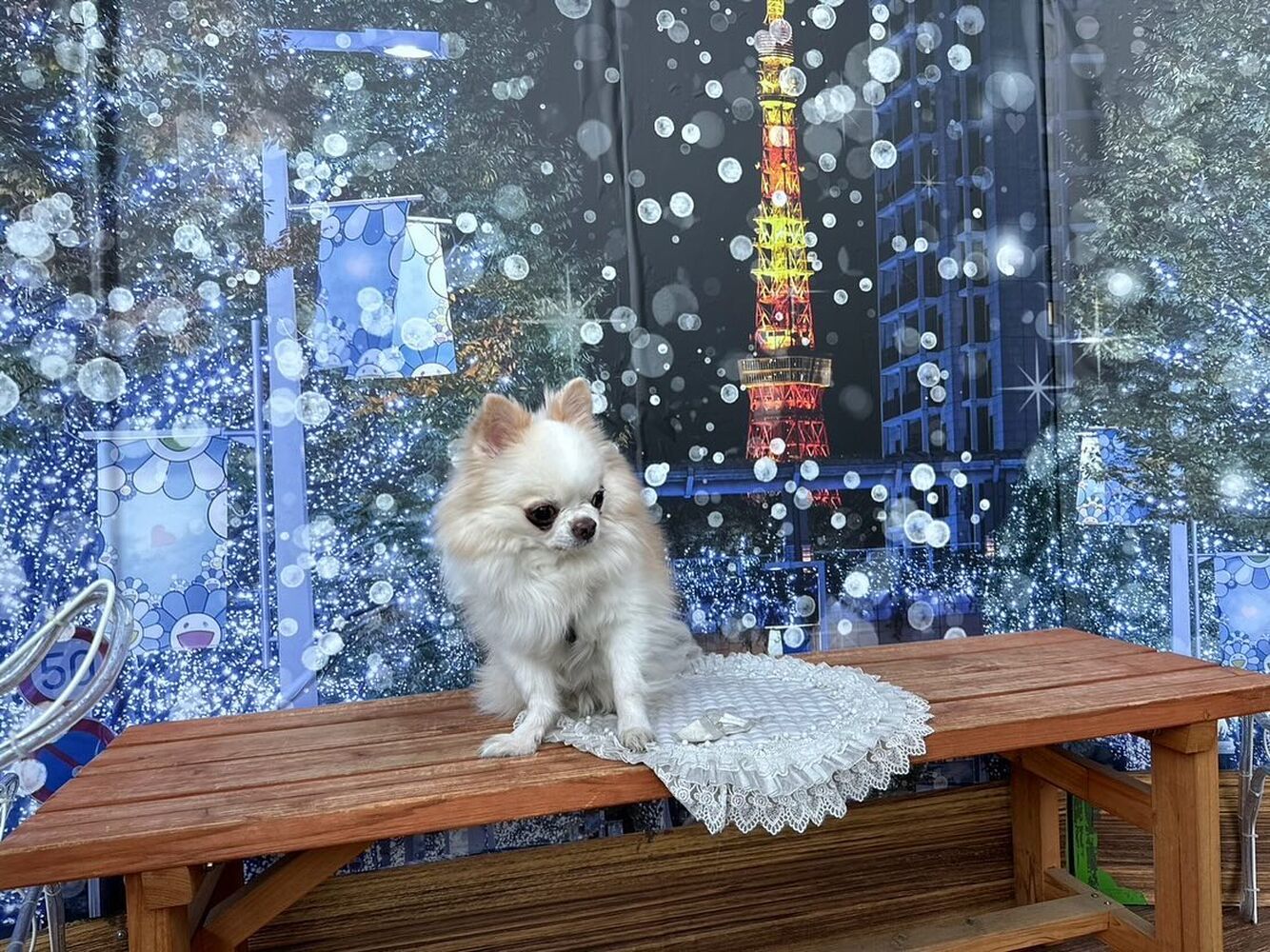 画像30480
