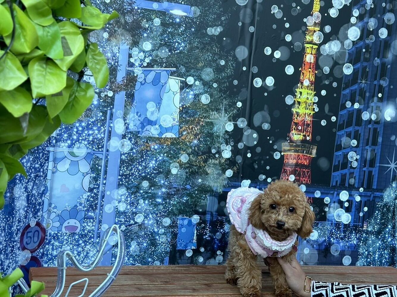 画像30635