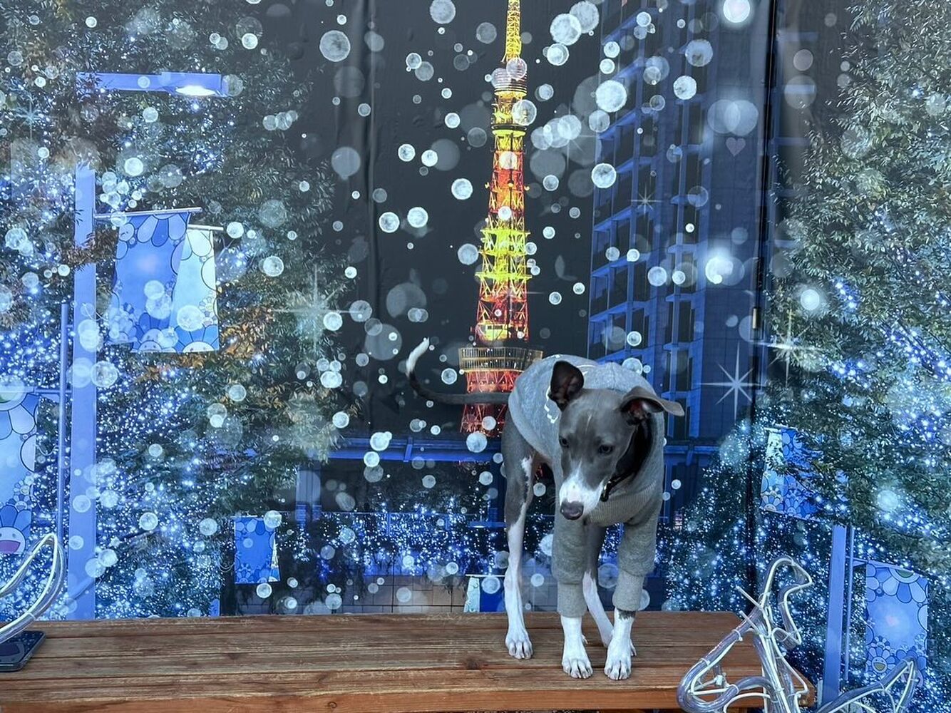 画像30642