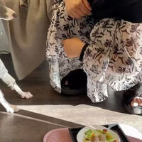 画像30646