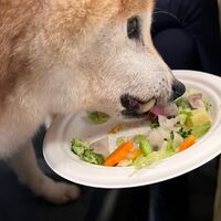 画像3070