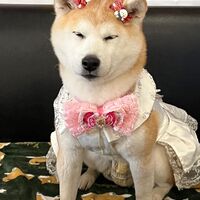 画像3072