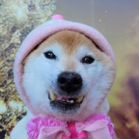 画像3075