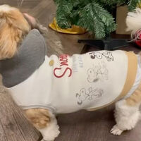 画像30885
