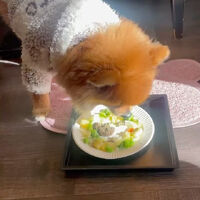 画像30928
