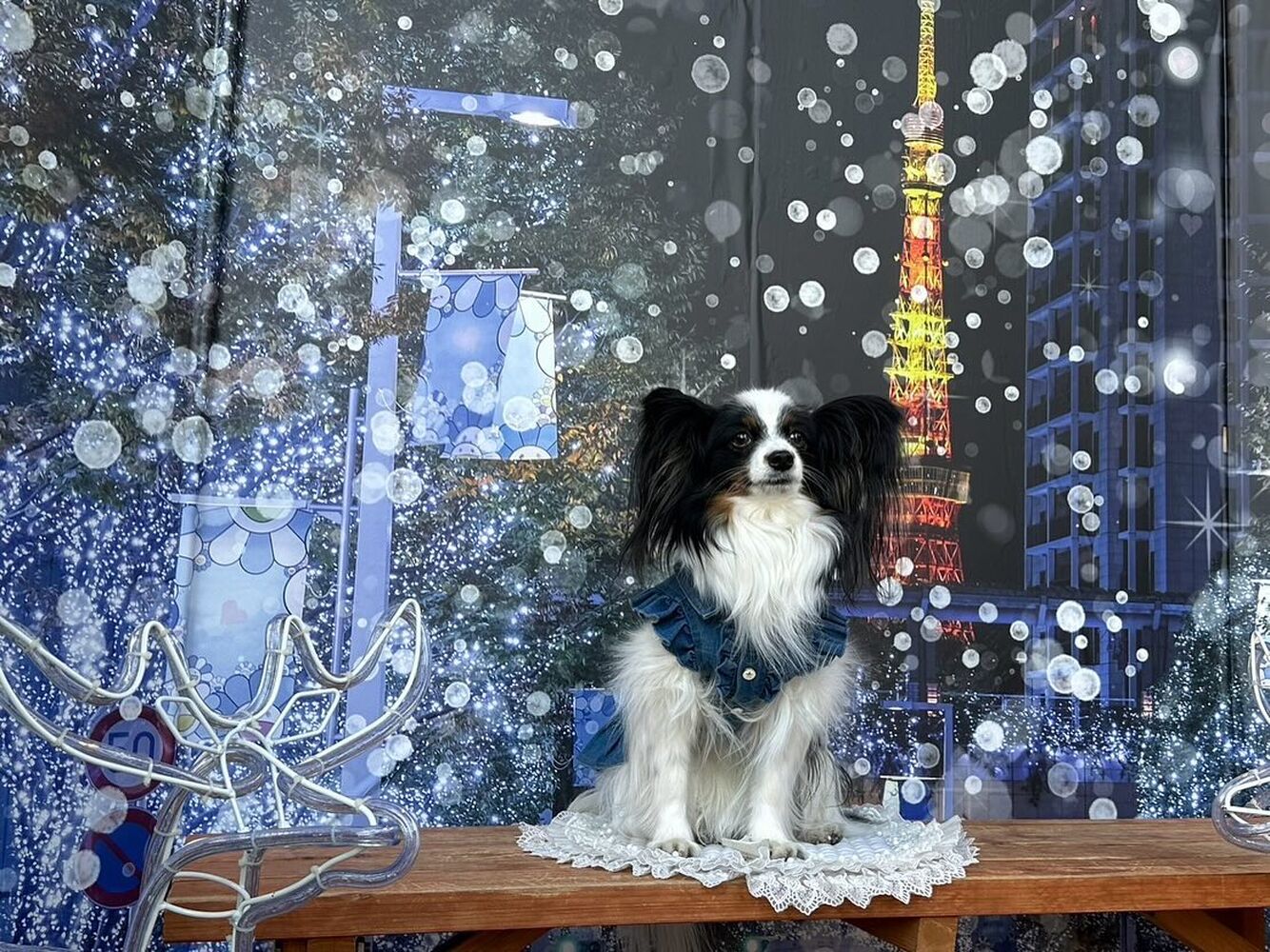 画像30938