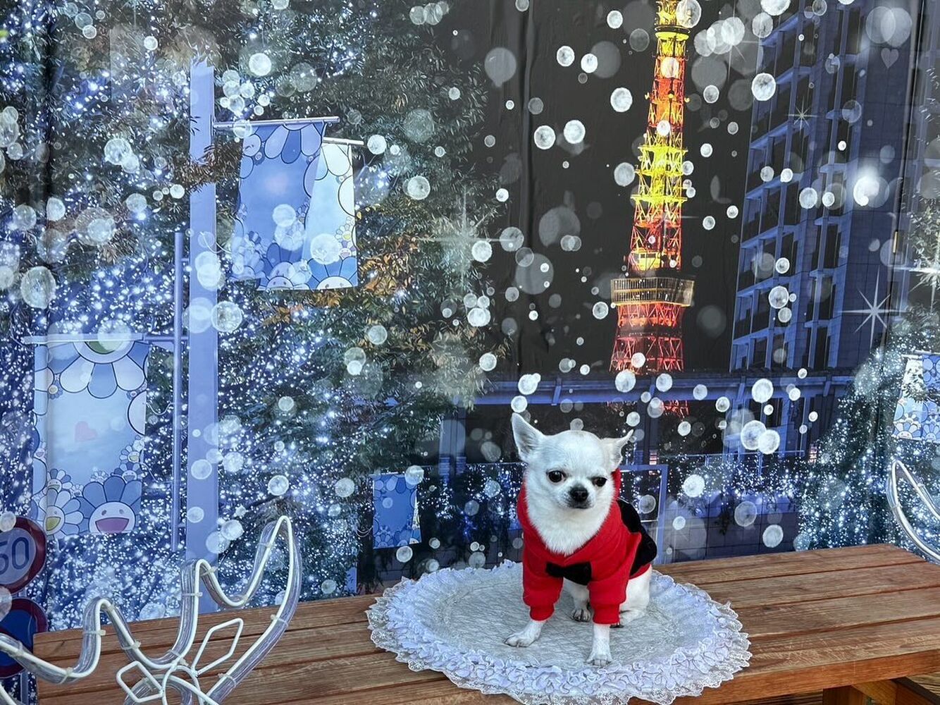 画像31001