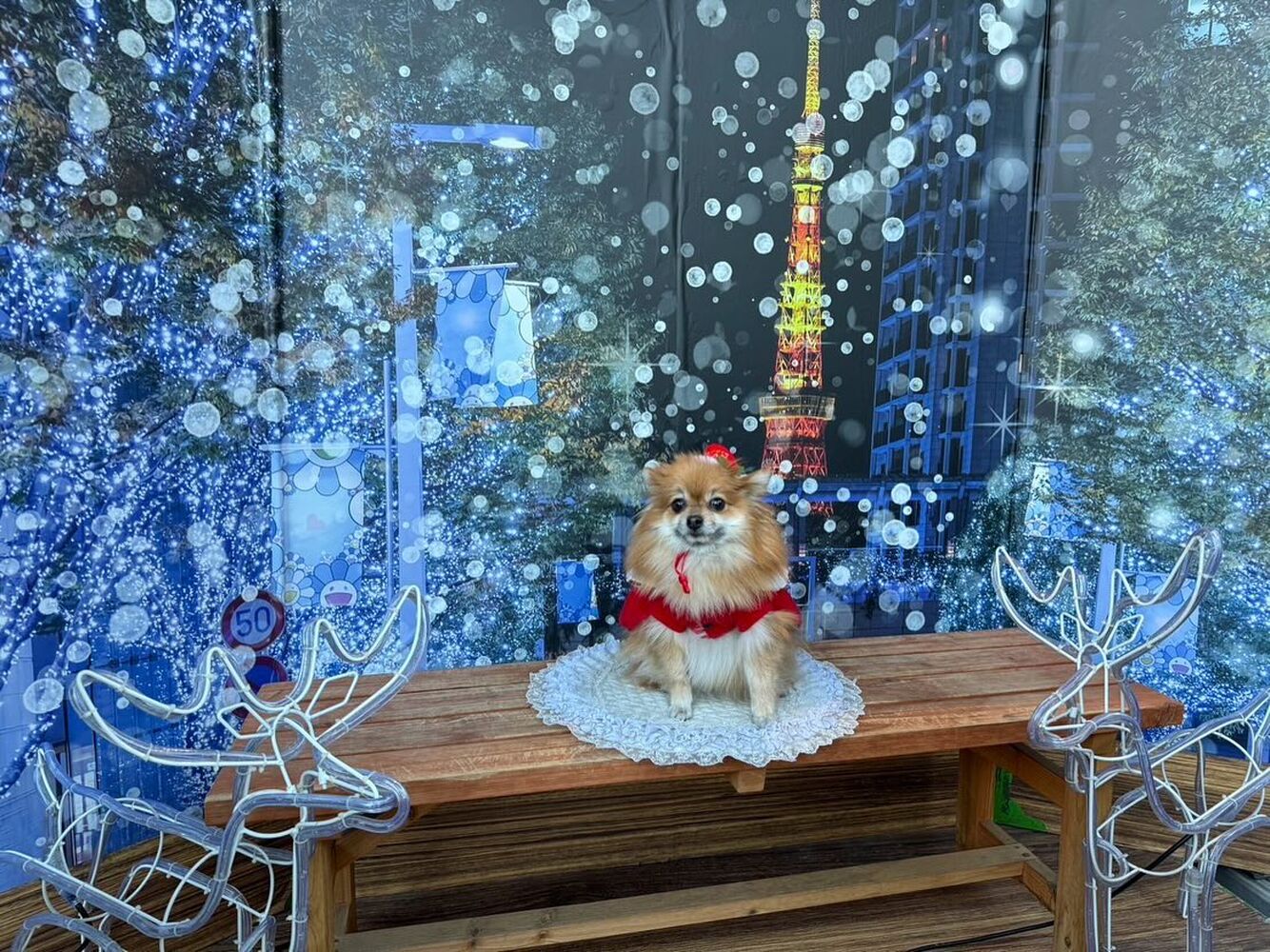 画像31016