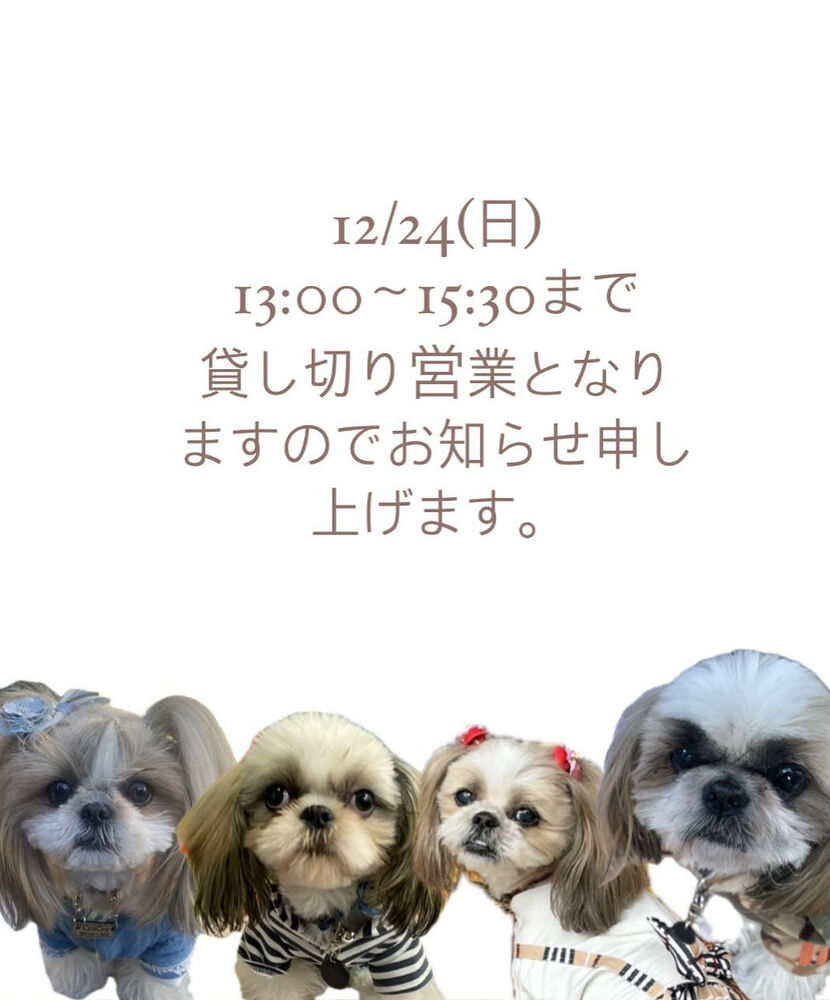 画像31074
