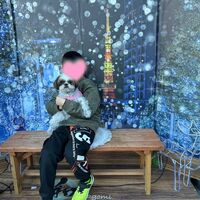 画像31148
