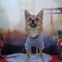 画像31566