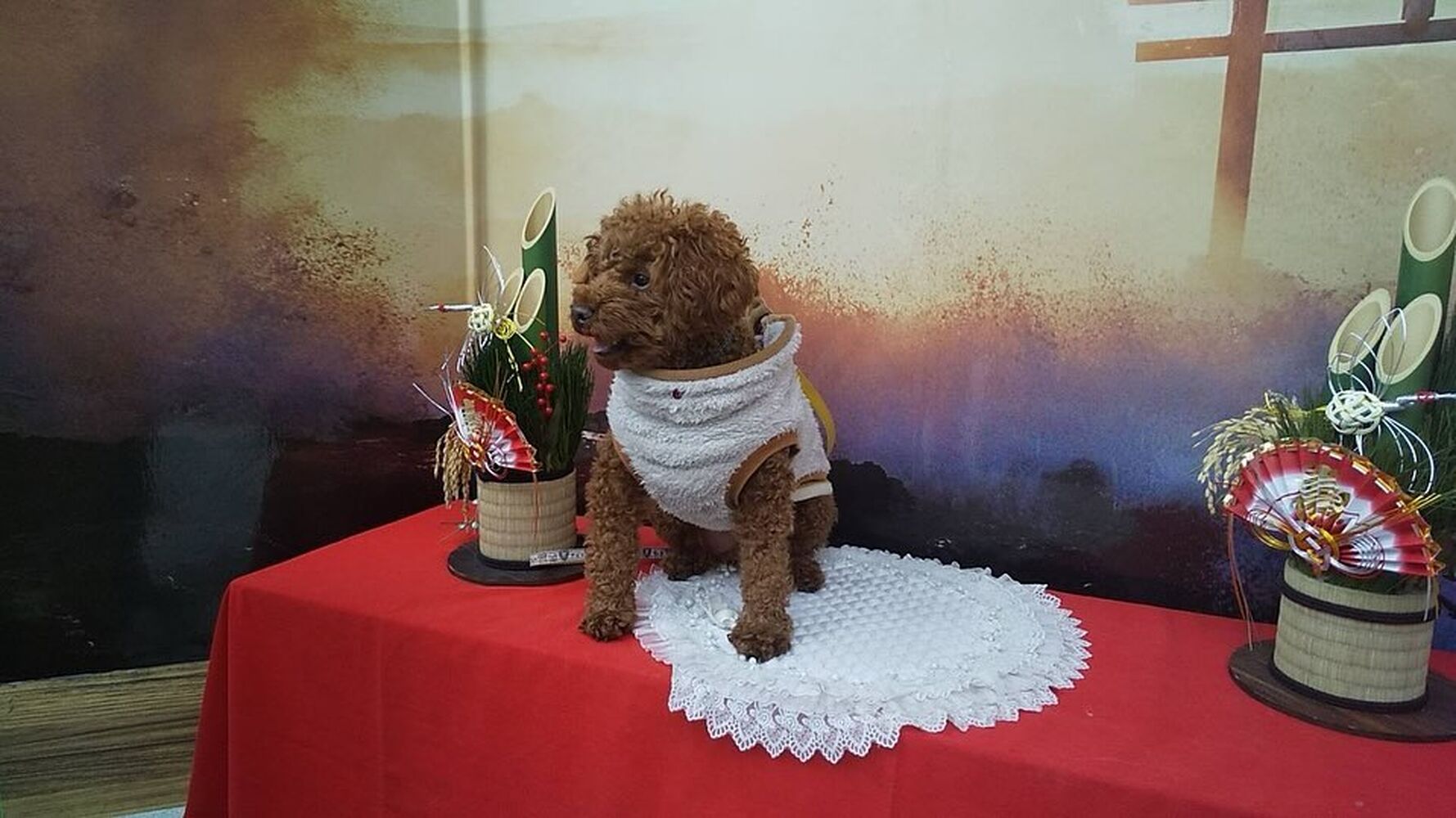 画像31702
