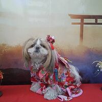 画像31739
