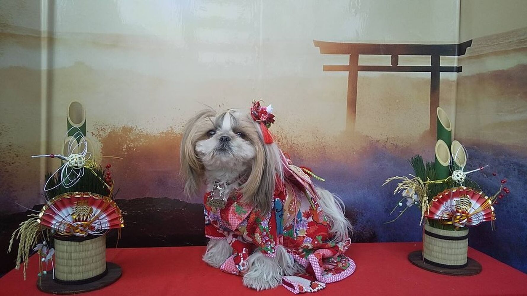 画像31739