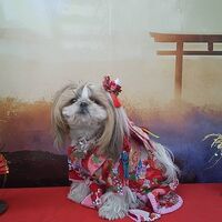 画像31740