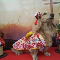 画像31826