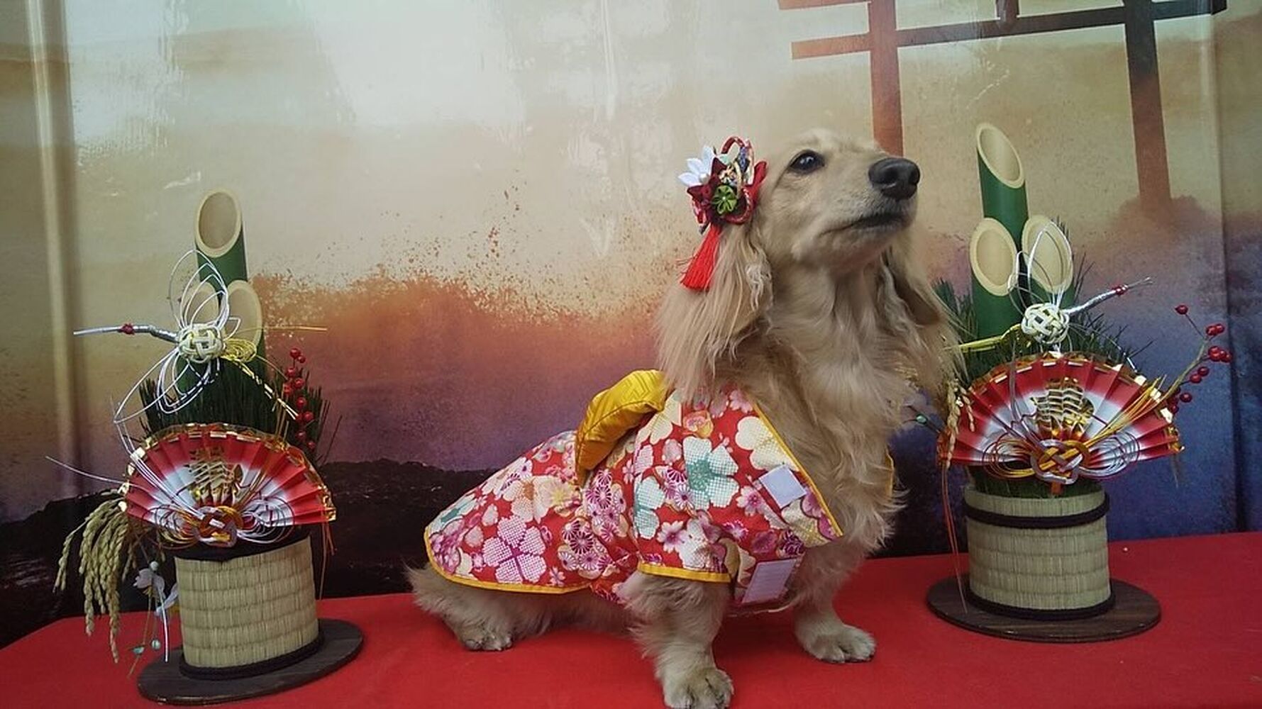 画像31826
