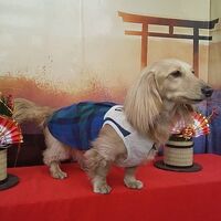 画像31830