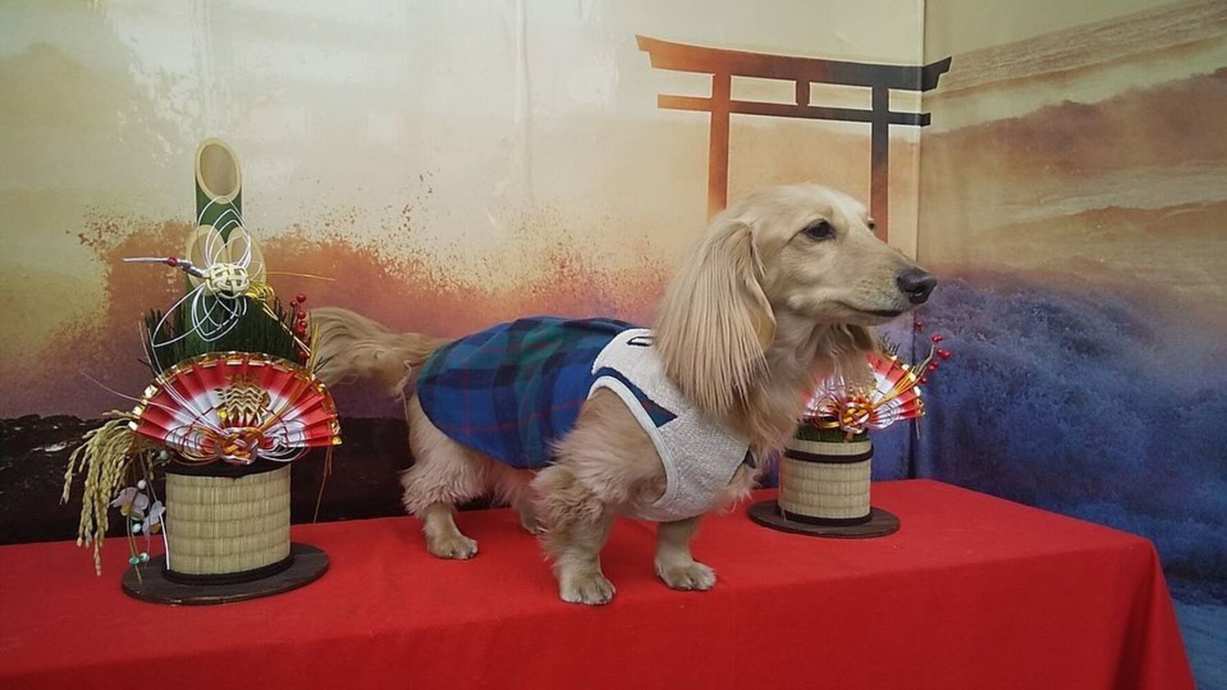 画像31830