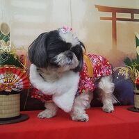 画像31868