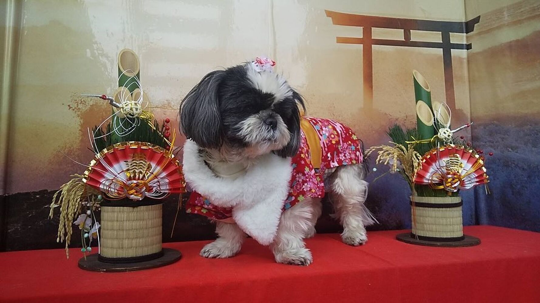 画像31868