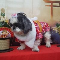 画像31870