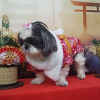 画像31871