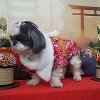 画像31872